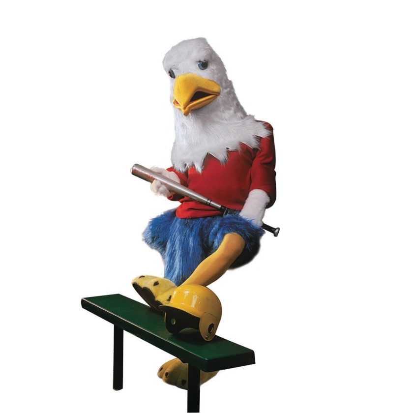 Eagle Adult Costume